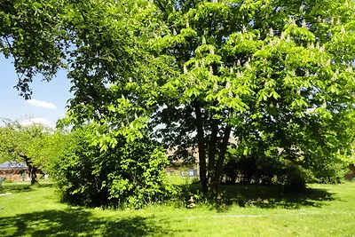 Casa di vacanza Bollensen