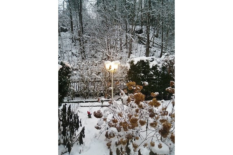Garten im Winter