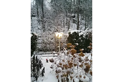 Erholung mit oder ohne Hund im Wald
