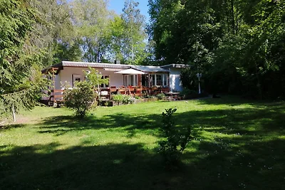 Erholung mit oder ohne Hund im Wald