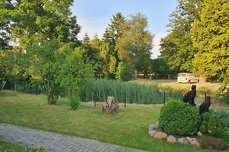 Ferienwohnung Ribnitz-Damgarten