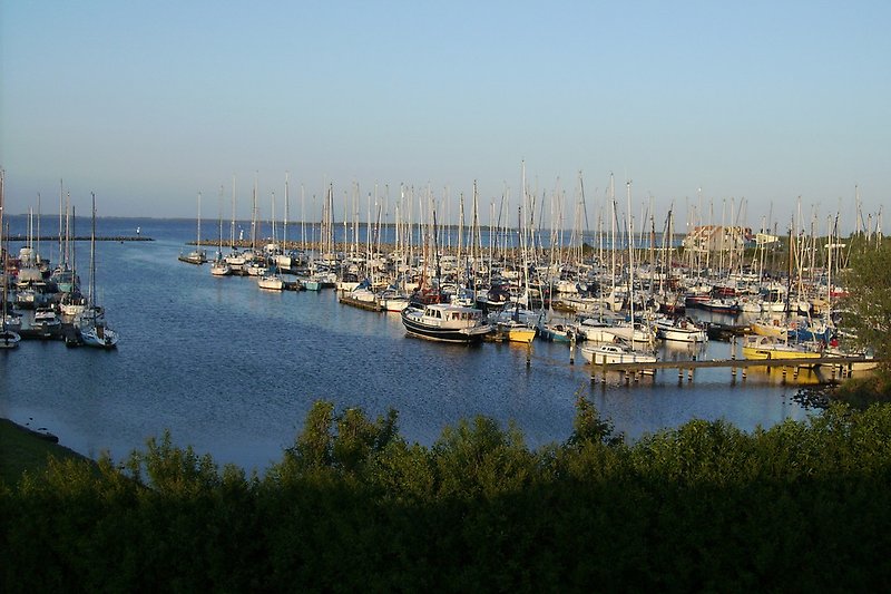 Hafen in Den Osse