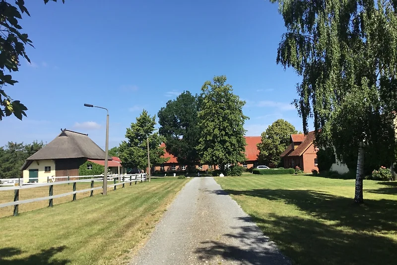 Casa nel verde con albero e giardino