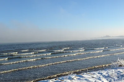 Strandnixe 204,Internet,Westbalkon