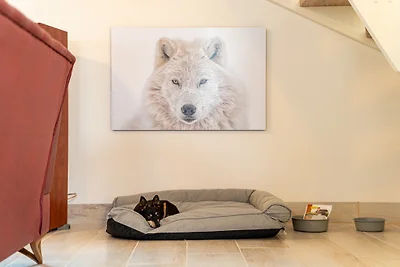 Klar zum Einschiffen