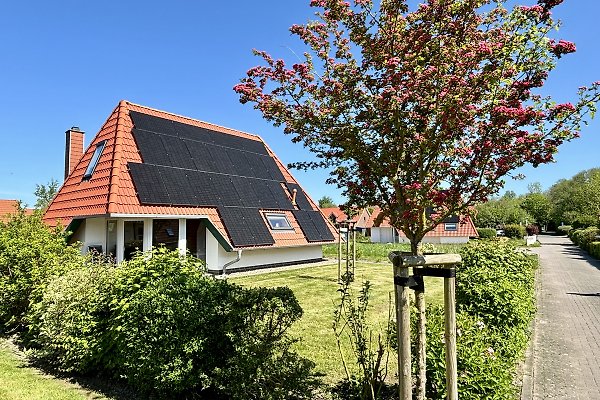 Ferienhaus Wremen