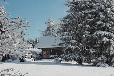 Ferienhaus Ottilienruh