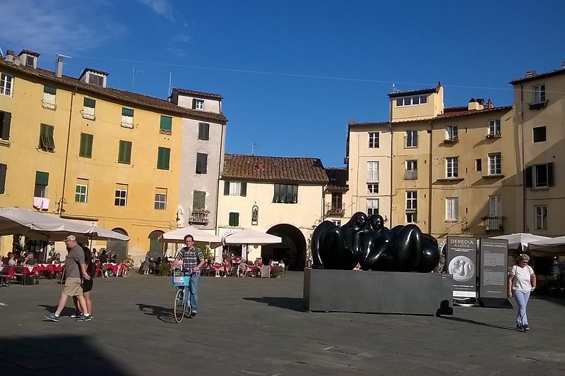 Lucca piazza  anfiteatro