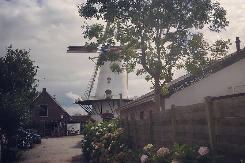 Windmühle in Burgh-Hamsteede