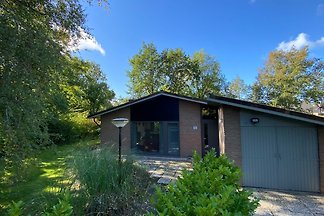 Ottima vacanza con il cane