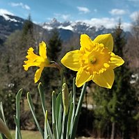 Rodzina J. Van den Burg