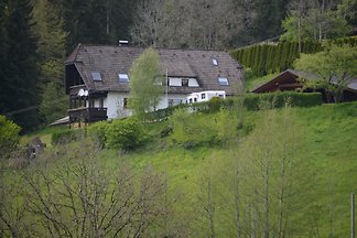 Schwarzwaldtalblick