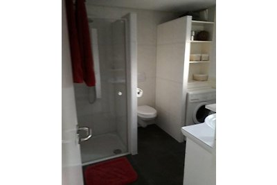 Schoneveld 15