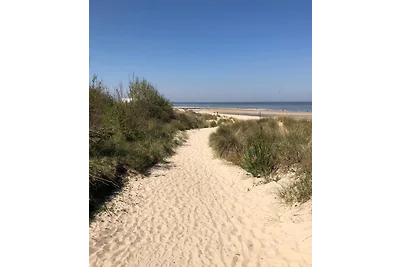 Schoneveld 15