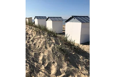 Schoneveld 15