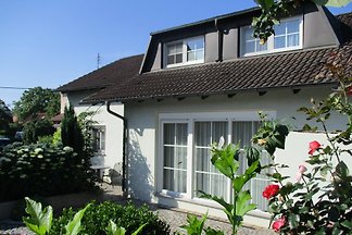 Vlinder plat