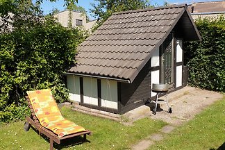 Dümmerbrise