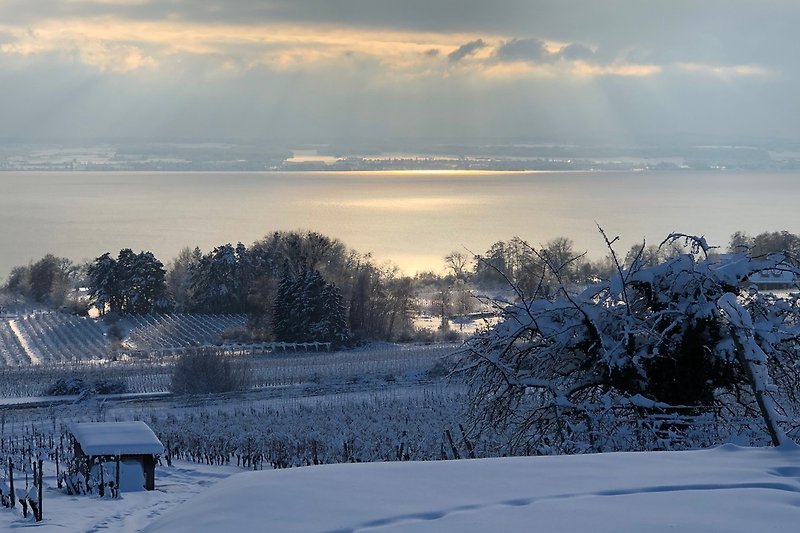 Winter Blick Konstanz
