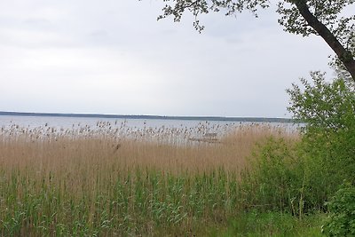 Seeblick 28 Mecklenburger Seen