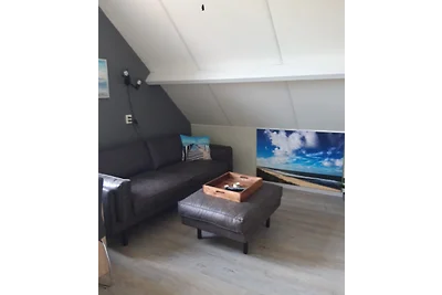 Studio17