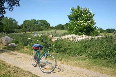 Viel Platz zum Radeln Viel Platz zum Radeln