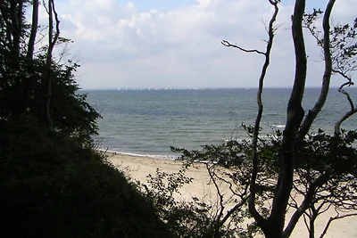 Blick von der Steilküste Blick von der Steilküste