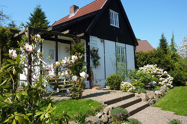 Ferienhaus Grömitz