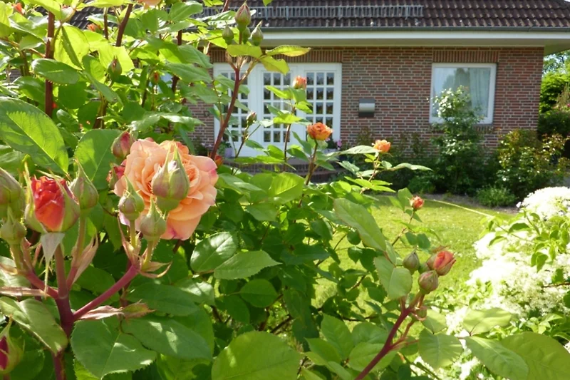 Haus am Meer