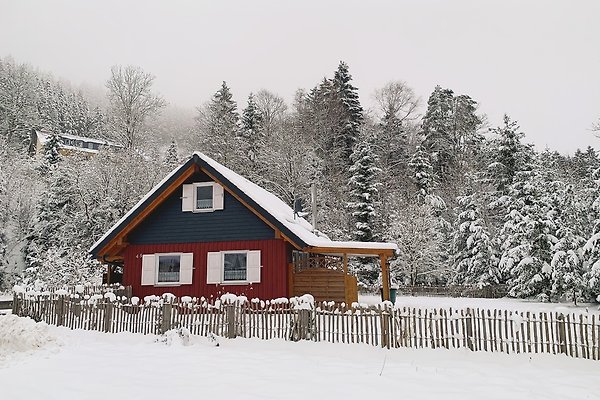 Ferienhaus Wildemann