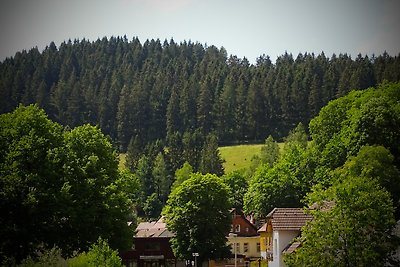 Harz-Ferien.haus