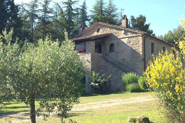 Casa dell Orso in San Maiano Mrs. I. Blumenberg