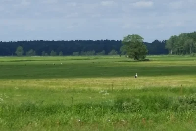 Schmidts Naturhof