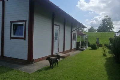 Ferienhaus am Eiderdeich