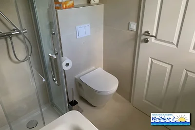Casa con tetto di paglia con camino wpool& sauna