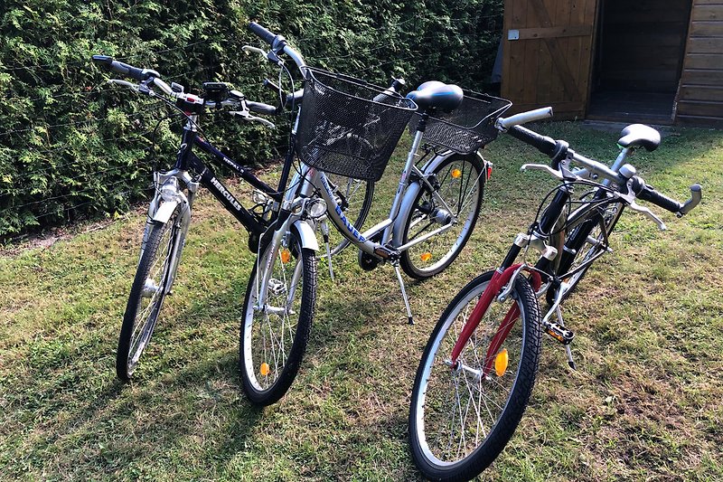 3 Fahrräder für unsere Gäste
