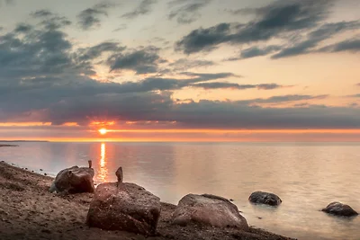 Ferienwohnung "Scholle"