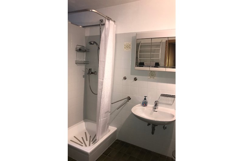 Badezimmer mit Dusche, Waschbecken und Spiegelschrank