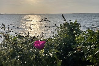Mooi vakantiehuis op een rustige locatie
