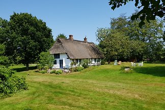 Reetdachkate in der Wiese