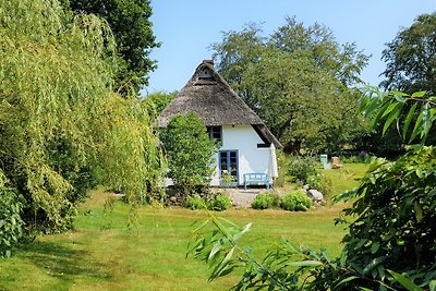 Huisje met rieten dak in de wei