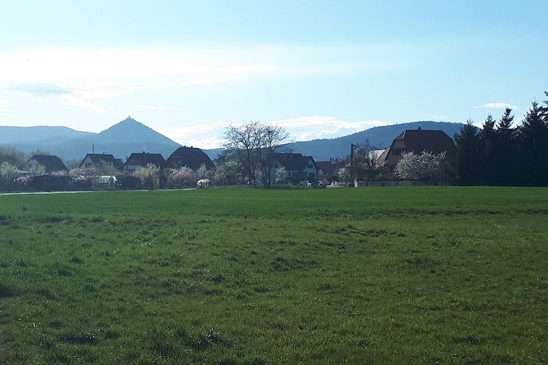 Vue sur le Chateau du Haut Koenigsbourg depuis la boucle verte, piste cyclable à proximité du Chouette Gite.