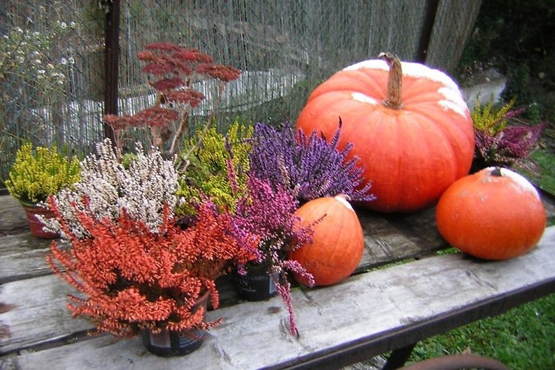 décoration d'automne