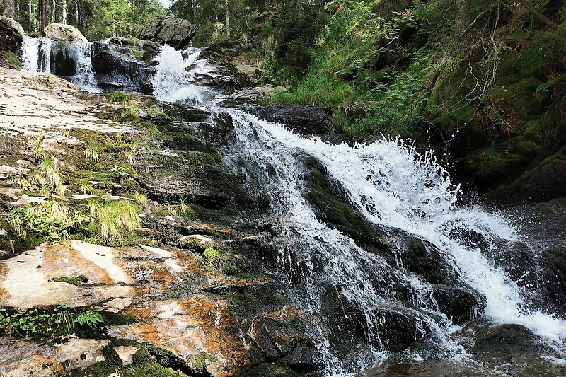 Rißloch-Wasserfälle Bodenmais