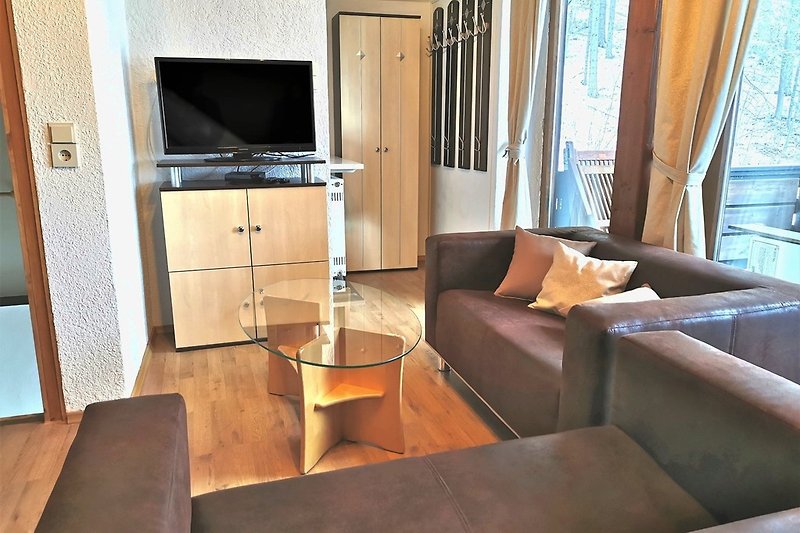 Wohnzimmer Couch / TV