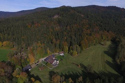 Antigua cabaña forestal - Casa Buchenhain