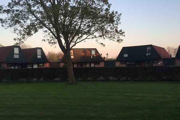 Ferienhaus Nieuwe Niedorp