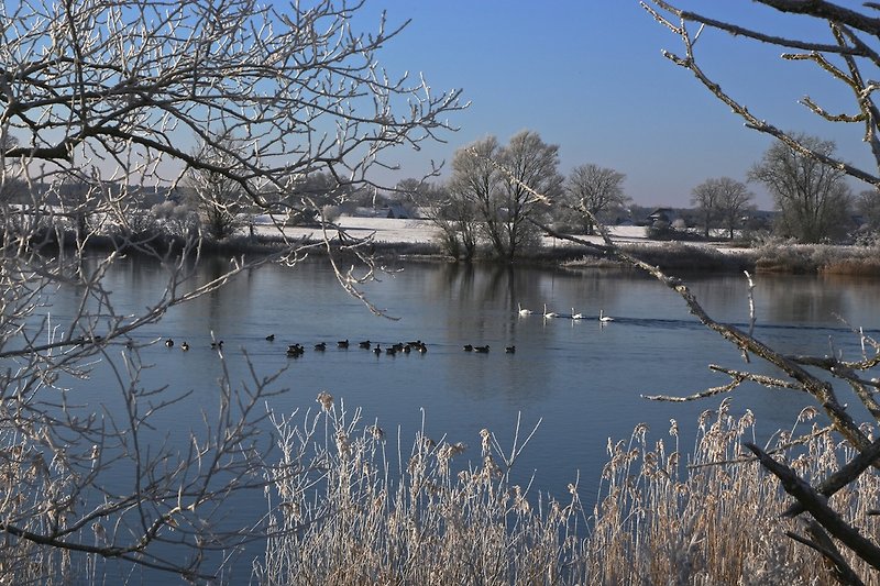  Elbe bei Dömitz im Winter