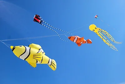 Appartamento Vacanza con famiglia Noordwijk