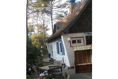 Ferienhaus Pinguin