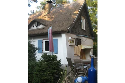 Ferienhaus Pinguin